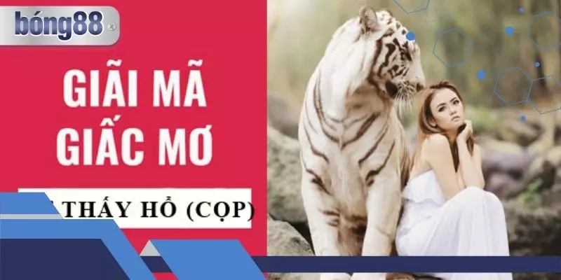 Mơ thấy hổ có nhiều trường hợp xảy ra ở hiện thực